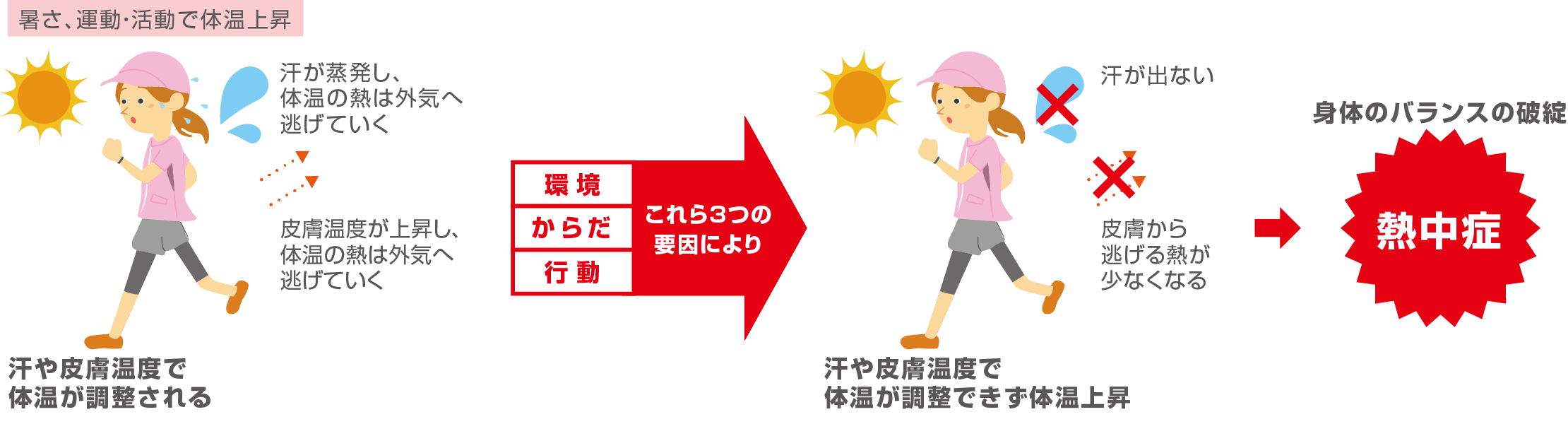 暑さ、運動・活動で体温上昇