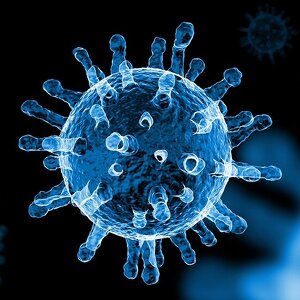 ノンエンベロープウイルス対策イメージ