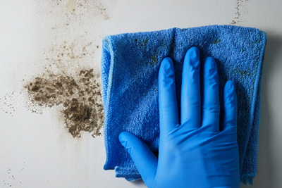 施設内に広がるカビ ── 原因と対策について