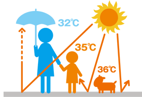 日差しが強い時