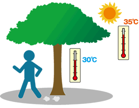 屋外では日陰を選んで通行
