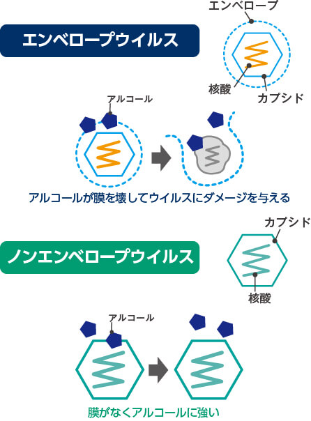 エンベロープウイルスとノンエンベロープウイルスの違い
