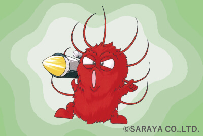 食中毒事故に注意！腸管出血性大腸菌o157