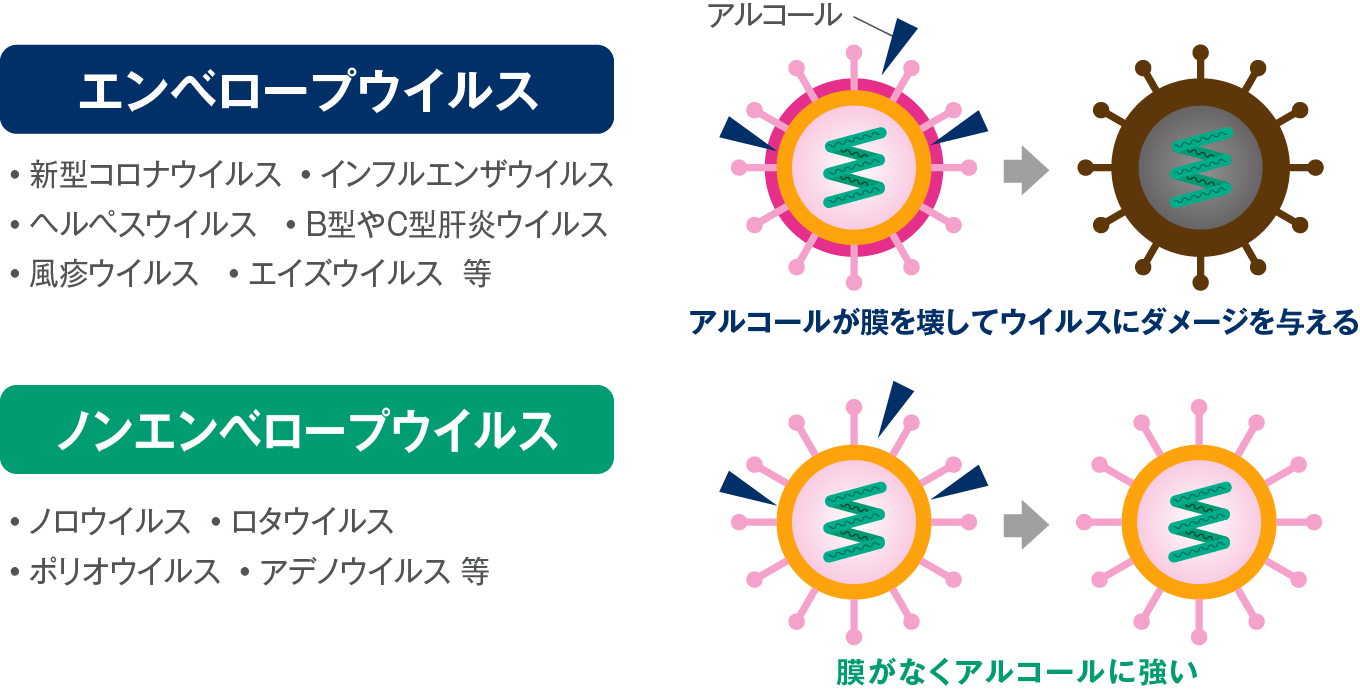 ノロウイルスは「ノンエンベロープウイルス」