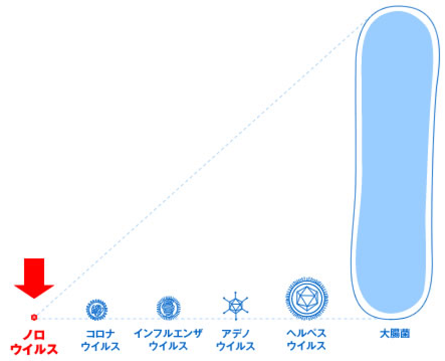 ノロウイルスの大きさ