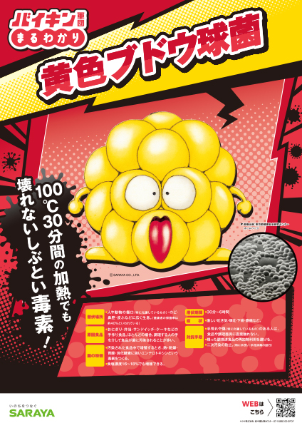 黄色ブドウ球菌